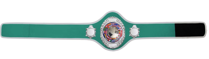 CHAMPIONSHIP BELT PRO286/S/FLAGS - AVAILABLE IN 10+ COLOURS CHAMPIONSHIP BELT PRO286/S/FLAGS - AVAILABLE IN 10+ COLOURS